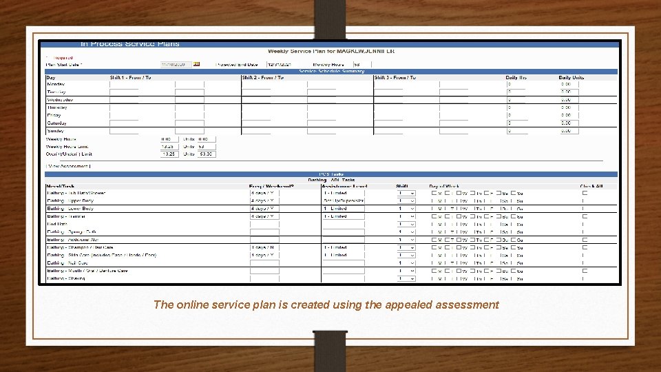The online service plan is created using the appealed assessment 