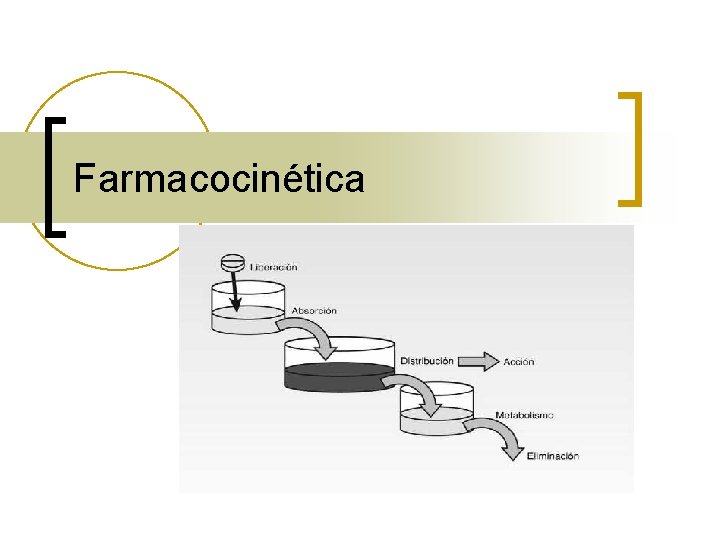 Farmacocinética Farmacocinética