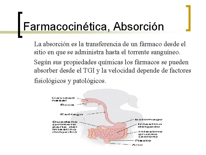 Farmacocinética, Absorción n n La absorción es la transferencia de un fármaco desde el Farmacocinética, Absorción n n La absorción es la transferencia de un fármaco desde el