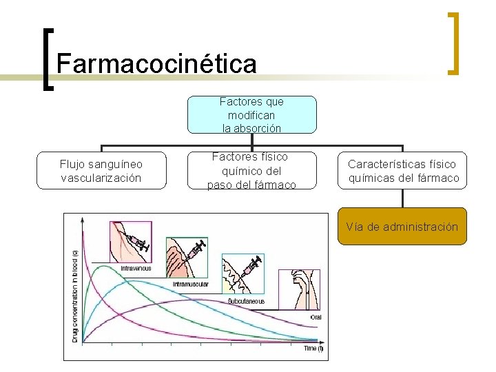 Farmacocinética Factores que modifican la absorción Flujo sanguíneo vascularización Factores físico químico del paso Farmacocinética Factores que modifican la absorción Flujo sanguíneo vascularización Factores físico químico del paso