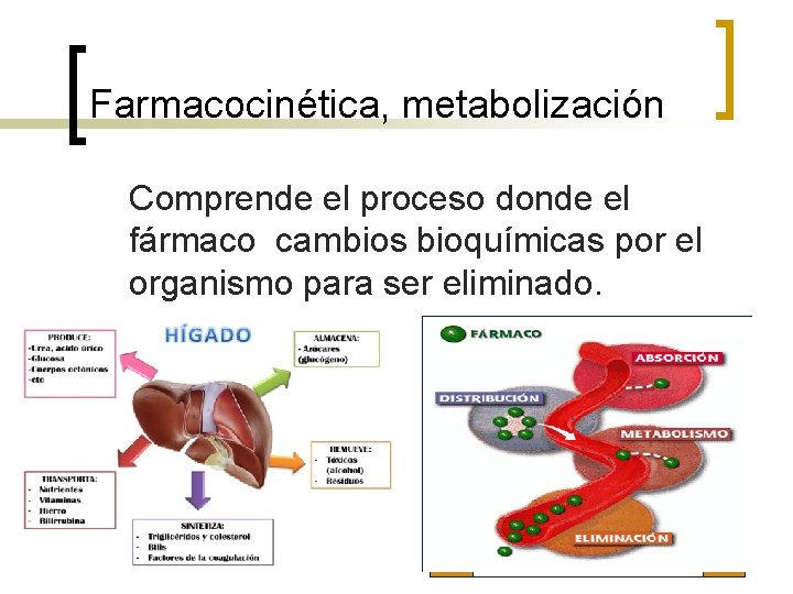 Farmacocinética, metabolización Comprende el proceso donde el fármaco cambios bioquímicas por el organismo para Farmacocinética, metabolización Comprende el proceso donde el fármaco cambios bioquímicas por el organismo para