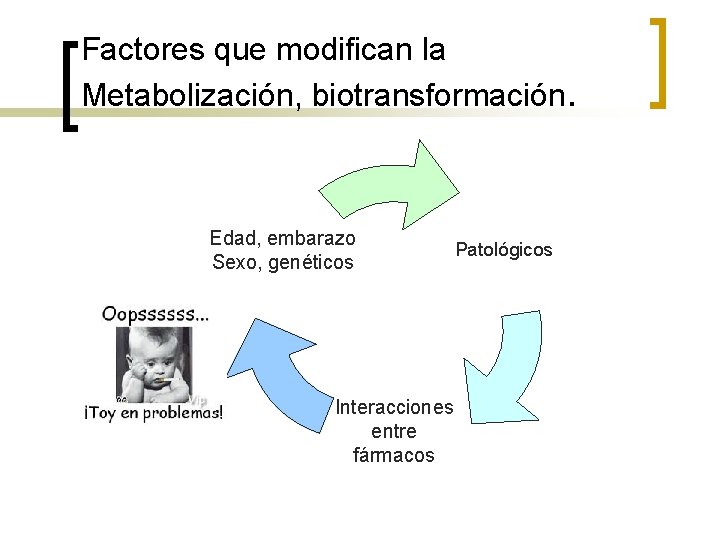 Factores que modifican la Metabolización, biotransformación. Edad, embarazo Sexo, genéticos Interacciones entre fármacos Patológicos Factores que modifican la Metabolización, biotransformación. Edad, embarazo Sexo, genéticos Interacciones entre fármacos Patológicos