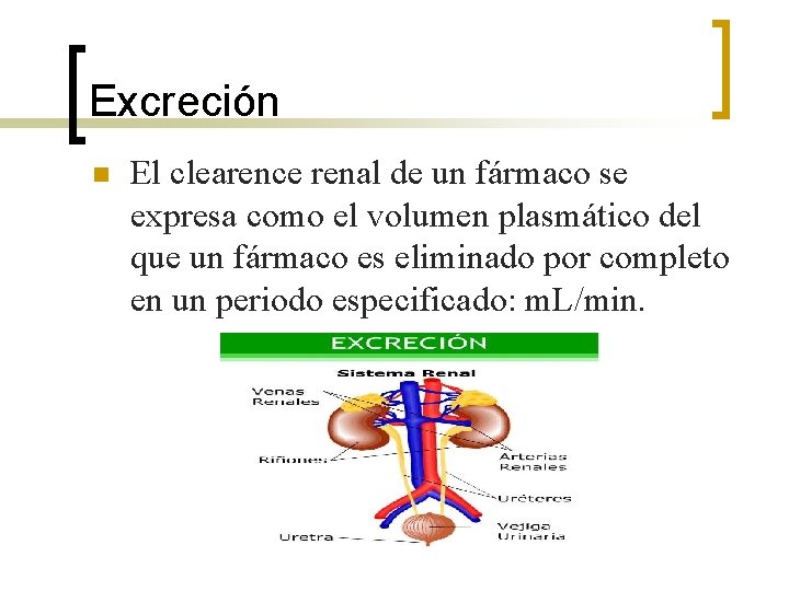 Excreción n El clearence renal de un fármaco se expresa como el volumen plasmático Excreción n El clearence renal de un fármaco se expresa como el volumen plasmático