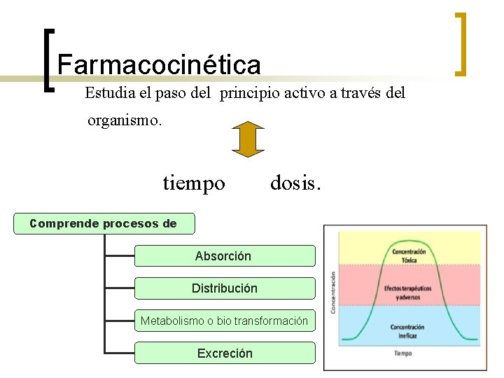 Farmacocinética Estudia el paso del principio activo a través del organismo. tiempo dosis. Comprende Farmacocinética Estudia el paso del principio activo a través del organismo. tiempo dosis. Comprende