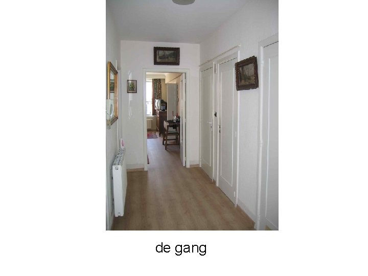 de gang 