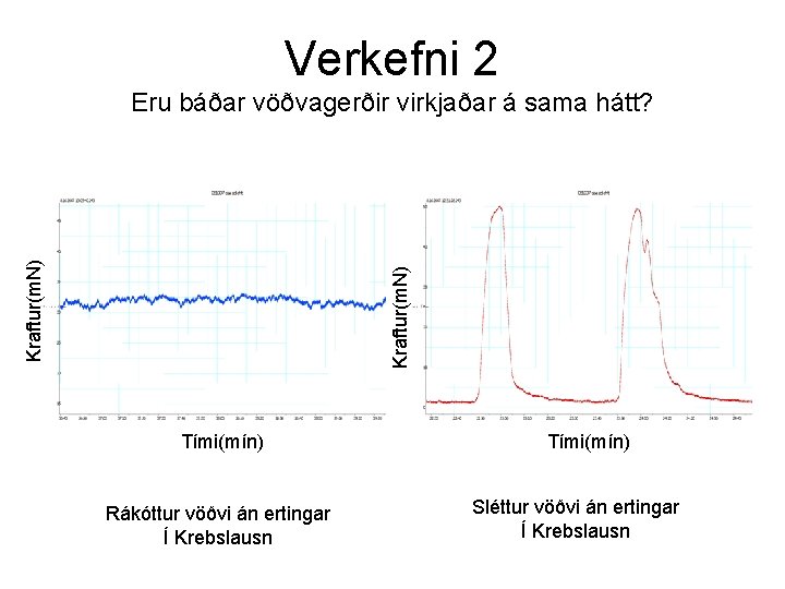 Verkefni 2 Kraftur(m. N) Eru báðar vöðvagerðir virkjaðar á sama hátt? Tími(mín) Rákóttur vöðvi