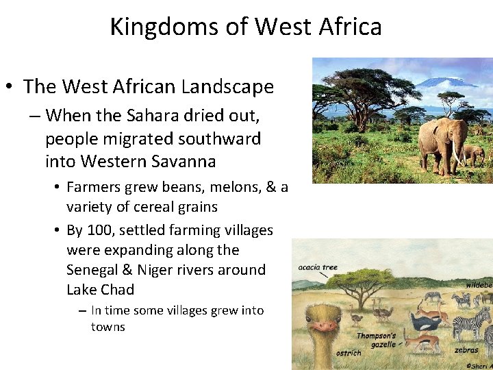 Kingdoms of West Africa • The West African Landscape – When the Sahara dried