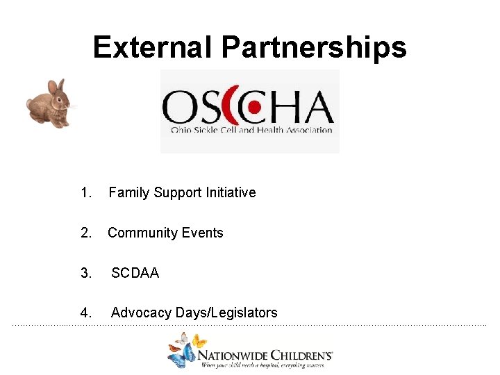 External Partnerships 1. Family Support Initiative 2. Community Events 3. SCDAA 4. Advocacy Days/Legislators