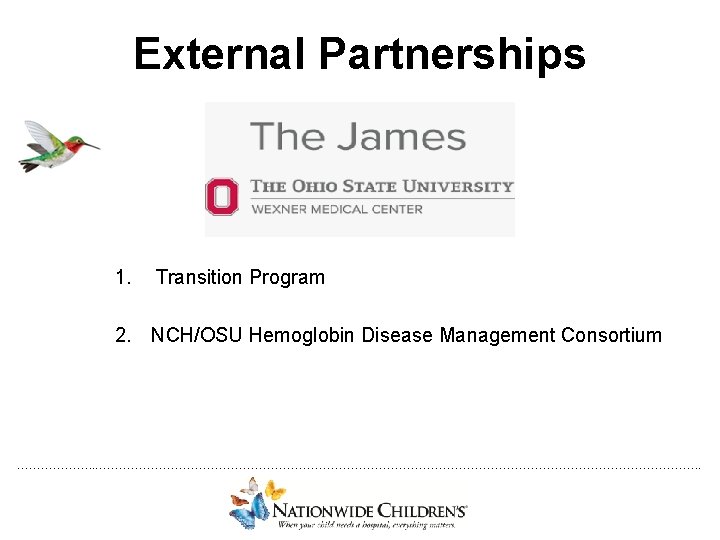 External Partnerships 1. Transition Program 2. NCH/OSU Hemoglobin Disease Management Consortium ………………. . ………………………………………………………………….