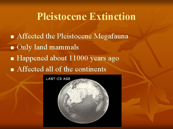 Pleistocene Extinction n n Affected the Pleistocene Megafauna Only land mammals Happened about 11000