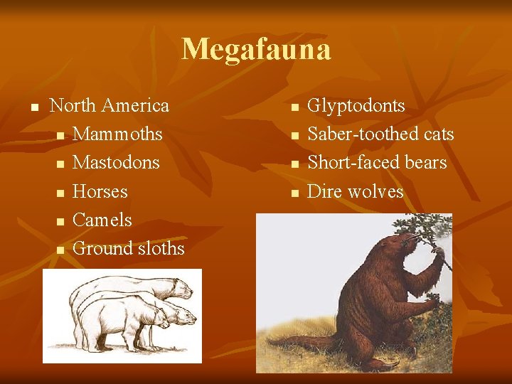 Megafauna n North America n Mammoths n Mastodons n Horses n Camels n Ground