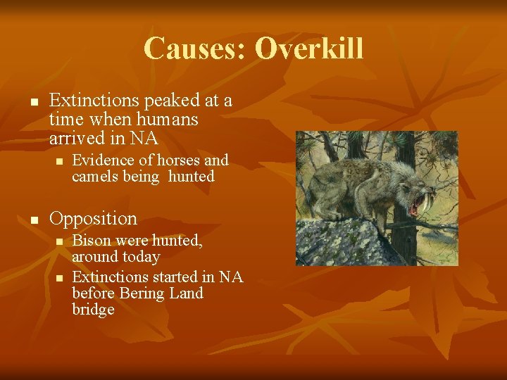 Causes: Overkill n Extinctions peaked at a time when humans arrived in NA n