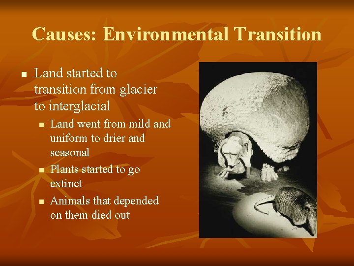 Causes: Environmental Transition n Land started to transition from glacier to interglacial n n