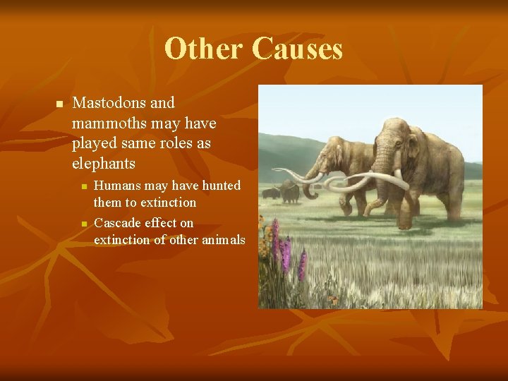 Other Causes n Mastodons and mammoths may have played same roles as elephants n