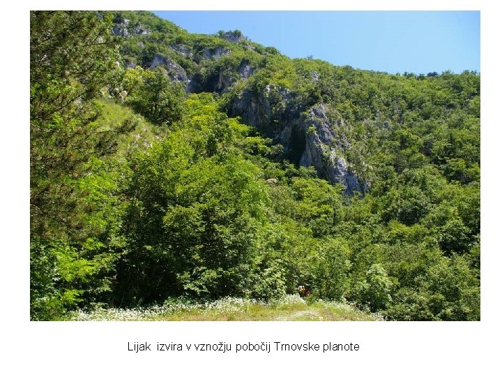 Lijak izvira v vznožju pobočij Trnovske planote Lijak izvira v vznožju pobočij Trnovske planote