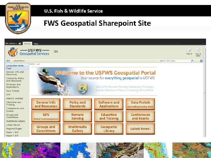U. S. Fish & Wildlife Service FWS Geospatial Sharepoint Site 10 