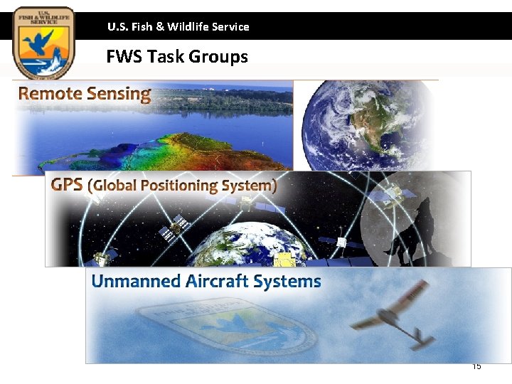 U. S. Fish & Wildlife Service FWS Task Groups 15 
