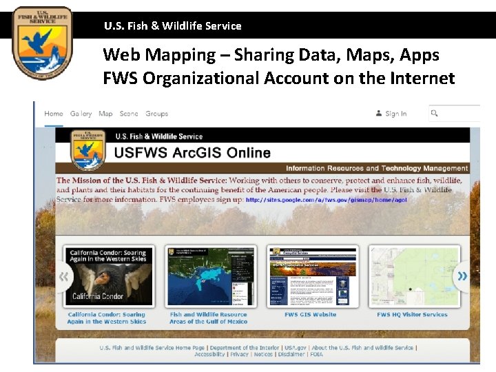 U. S. Fish & Wildlife Service Web Mapping – Sharing Data, Maps, Apps FWS