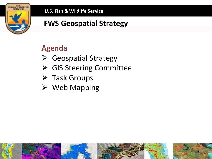 U. S. Fish & Wildlife Service FWS Geospatial Strategy Agenda Ø Geospatial Strategy Ø