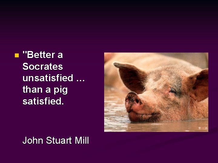 n "Better a Socrates unsatisfied … than a pig satisfied. John Stuart Mill 