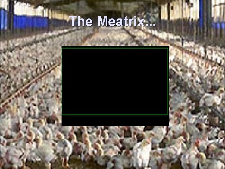 The Meatrix. . . 