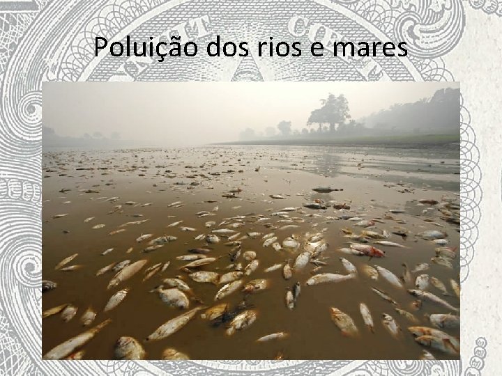 Poluição dos rios e mares 