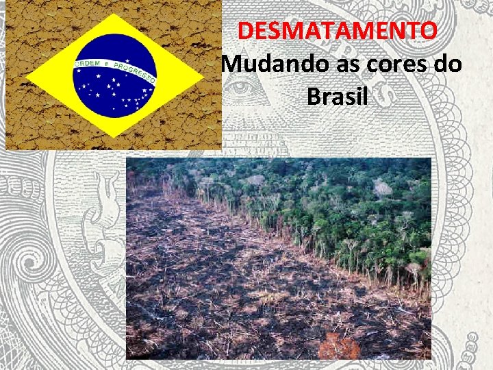 DESMATAMENTO Mudando as cores do Brasil 