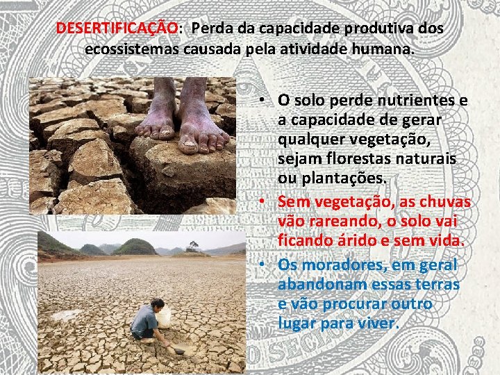 DESERTIFICAÇÃO: Perda da capacidade produtiva dos ecossistemas causada pela atividade humana. • O solo