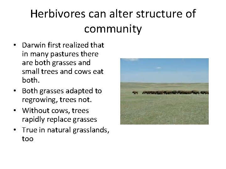 Herbivores can alter structure of community • Darwin first realized that in many pastures