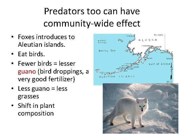 Predators too can have community-wide effect • Foxes introduces to Aleutian islands. • Eat
