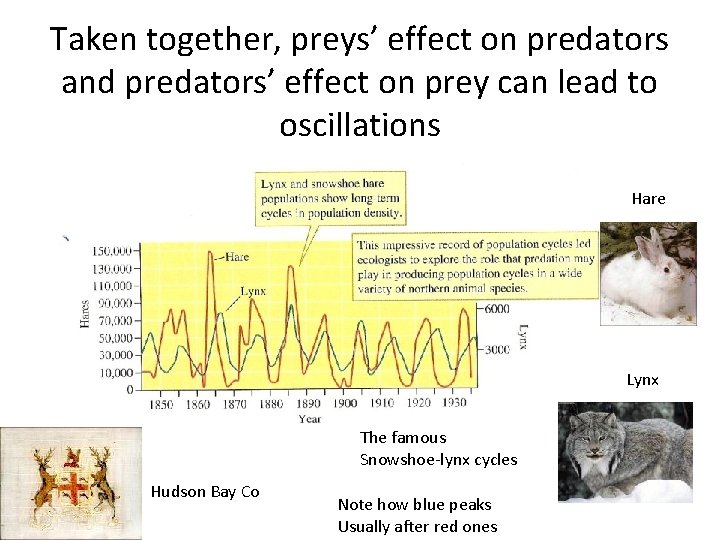 Taken together, preys’ effect on predators and predators’ effect on prey can lead to