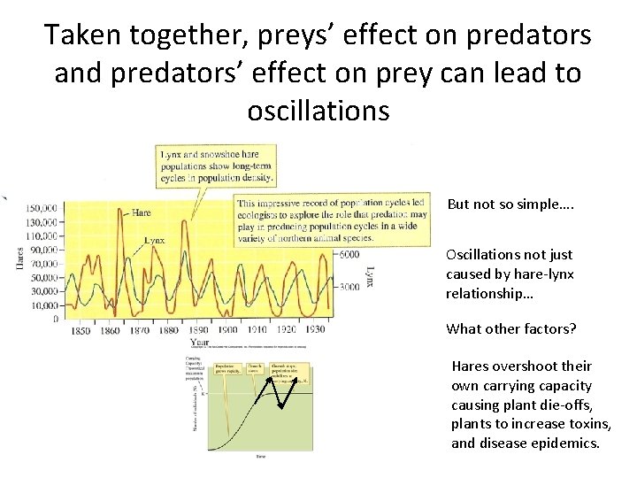 Taken together, preys’ effect on predators and predators’ effect on prey can lead to