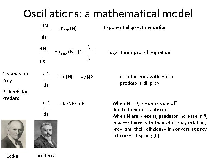 Oscillations: a mathematical model d. N Exponential growth equation = rmax (N) dt d.