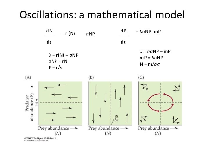 Oscillations: a mathematical model d. N = r (N) dt 0 = r(N) –