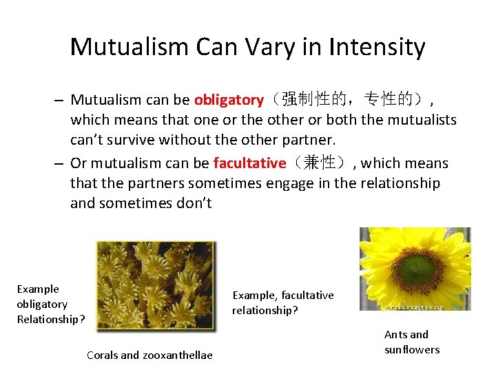 Mutualism Can Vary in Intensity – Mutualism can be obligatory（强制性的，专性的）, which means that one