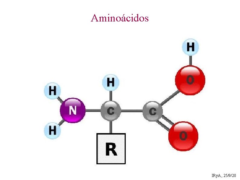 Aminoácidos IRy. A, 25/9/20 