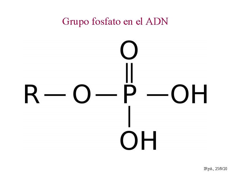 Grupo fosfato en el ADN IRy. A, 25/9/20 
