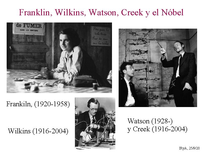 Franklin, Wilkins, Watson, Creek y el Nóbel Frankiln, (1920 -1958) Wilkins (1916 -2004) Watson