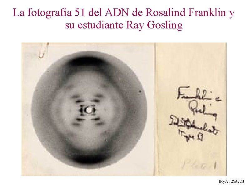 La fotografía 51 del ADN de Rosalind Franklin y su estudiante Ray Gosling IRy.