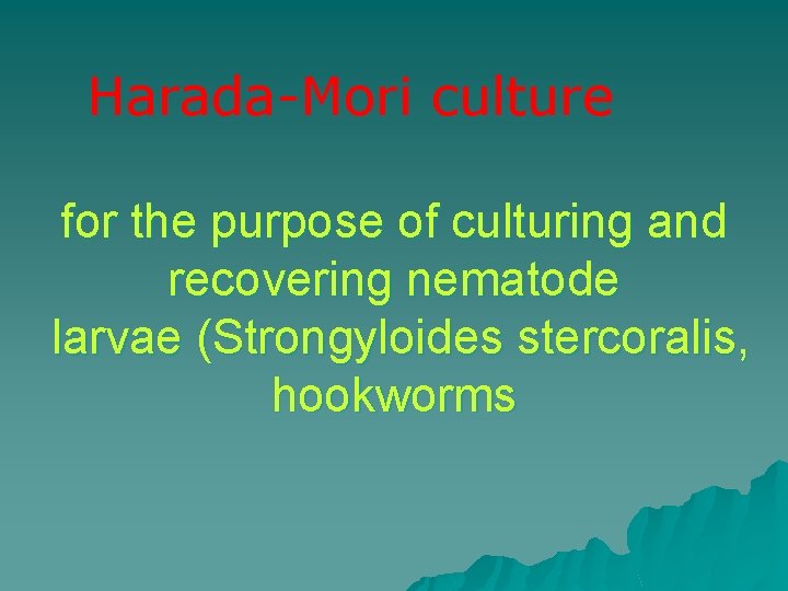Harada-Mori culture for the purpose of culturing and recovering nematode larvae (Strongyloides stercoralis, hookworms