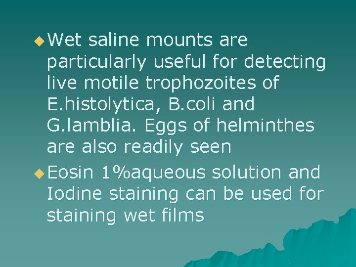 u Wet saline mounts are particularly useful for detecting live motile trophozoites of E.