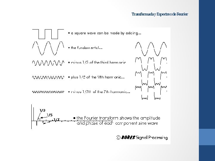 Transformada y Espectros de Fourier 