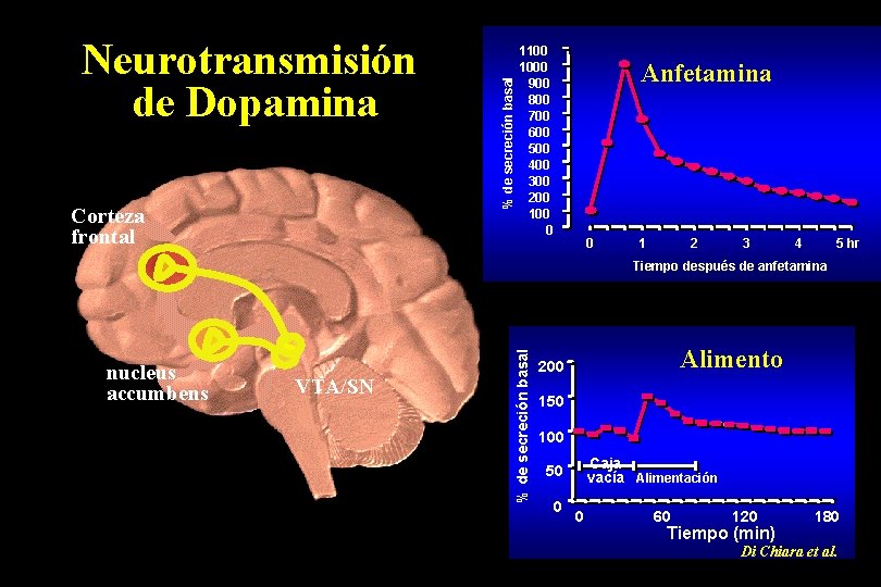 Corteza frontal % de secreción basal Neurotransmisión de Dopamina 1100 1000 900 800 700
