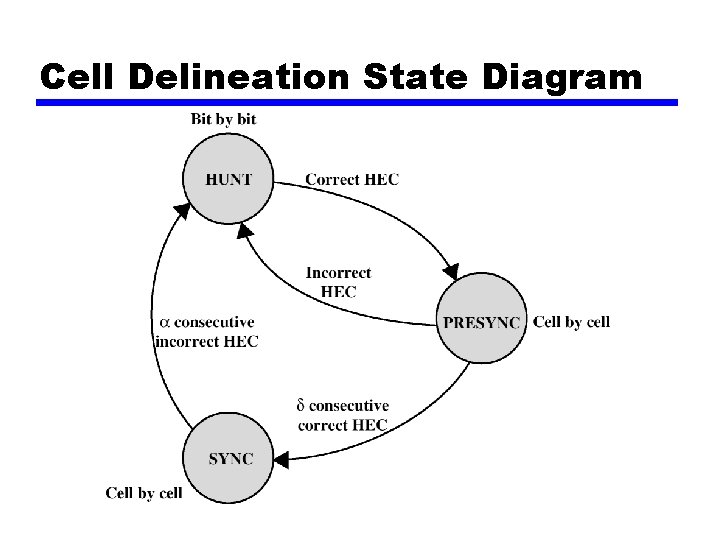 Cell Delineation State Diagram 