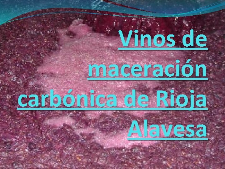 Vinos de maceración carbónica de Rioja Alavesa 