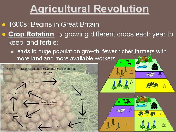 Agricultural Revolution l l 1600 s: Begins in Great Britain Crop Rotation growing different