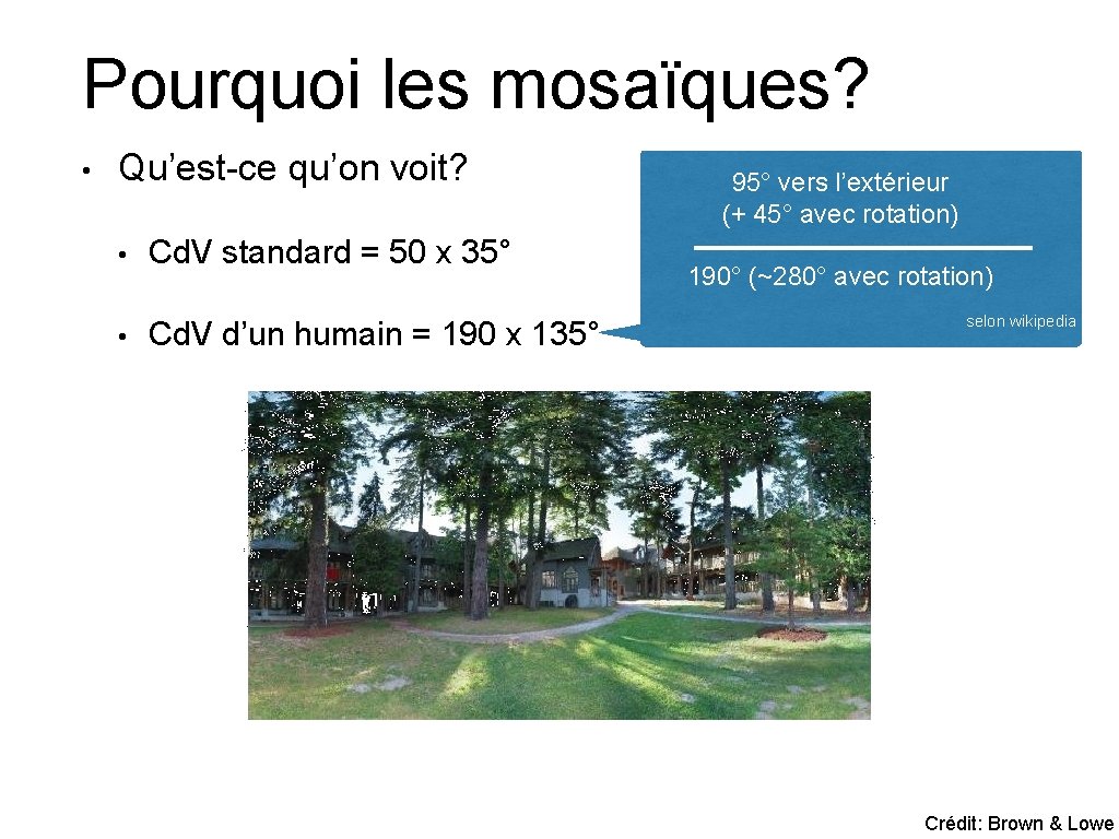 Pourquoi les mosaïques? • Qu’est-ce qu’on voit? • • Cd. V standard = 50