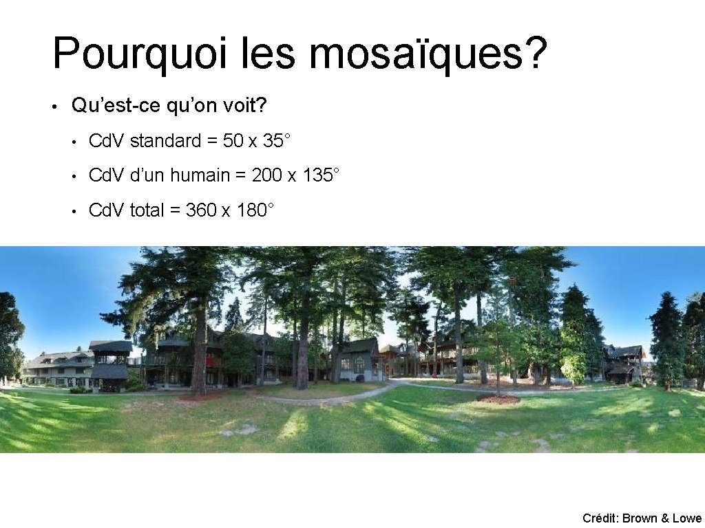 Pourquoi les mosaïques? • Qu’est-ce qu’on voit? • Cd. V standard = 50 x