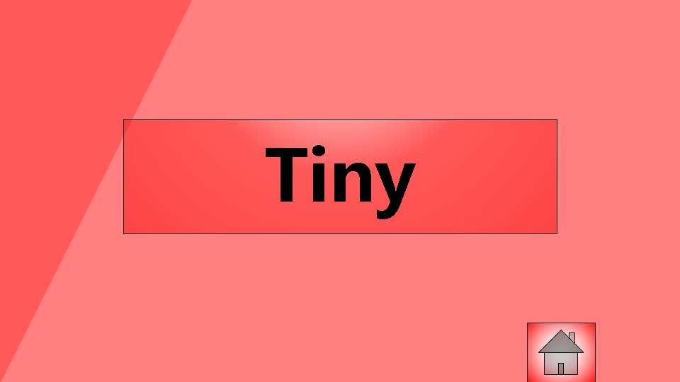 Tiny 