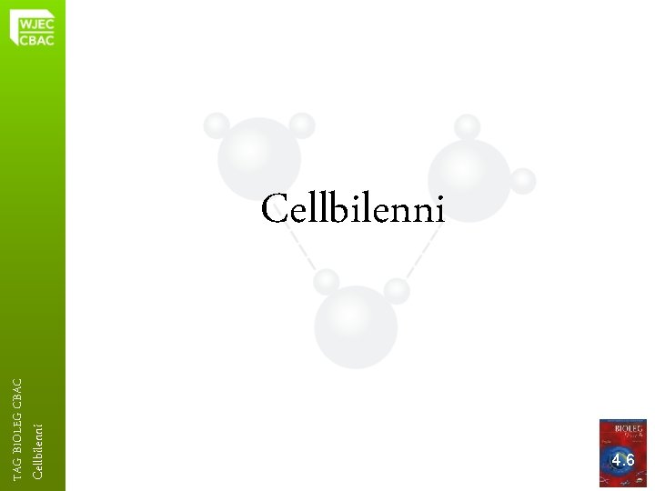 Cellbilenni TAG BIOLEG CBAC Cellbilenni 4. 6 